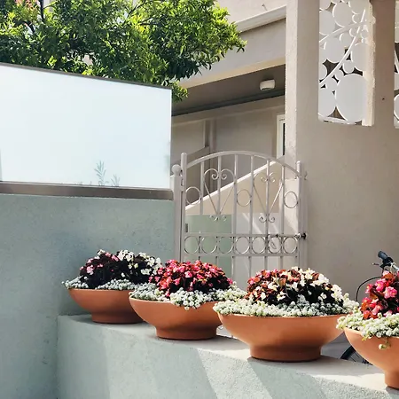 Telesilla Corfu 3* Kontokali